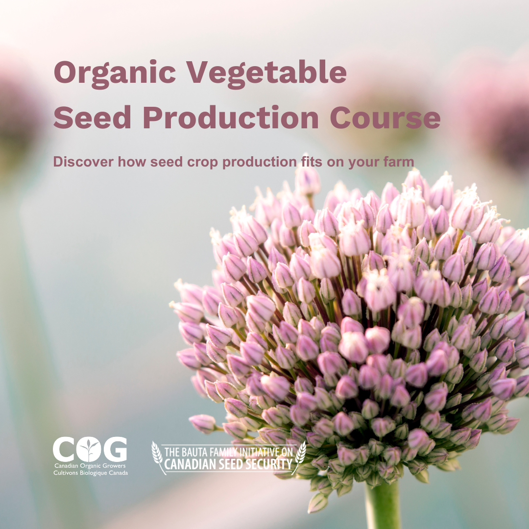 Organic Vegetable Seed Production Course