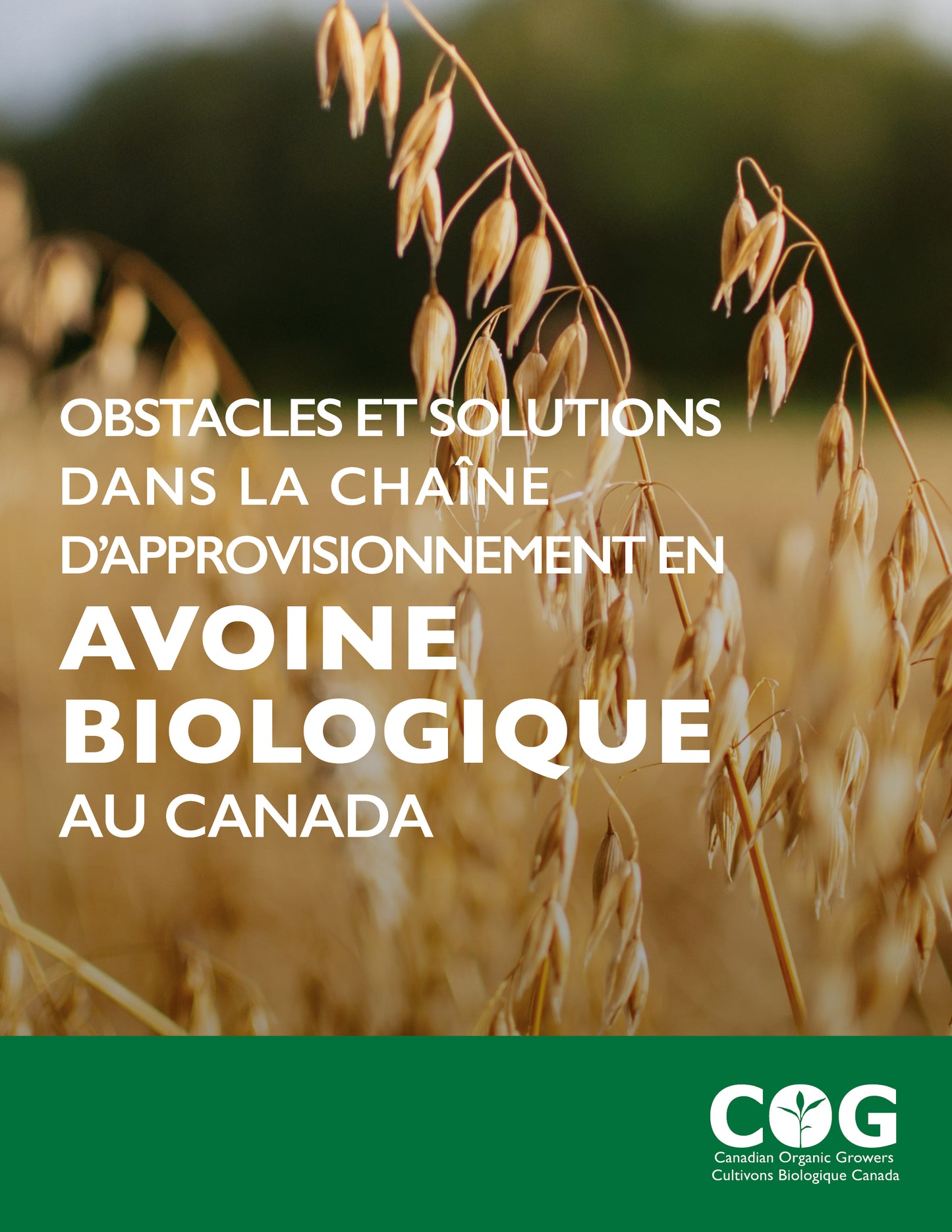 Barriers and Solutions in Canada’s Organic Oats Supply Chain / Obstacles et solutions dans la chaîne d'approvisionnement en avoine biologique au Canada