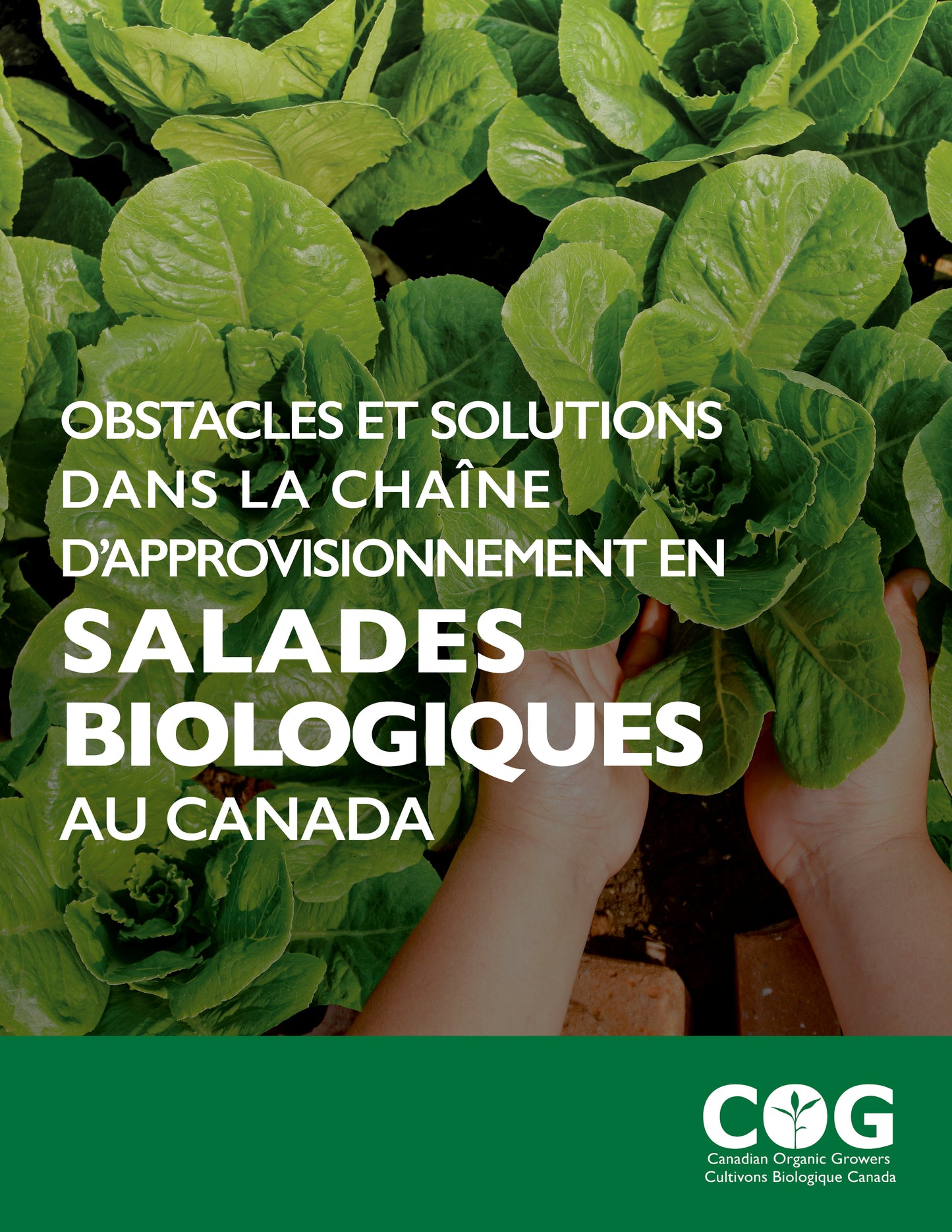 Barriers and Solutions in Canada’s Organic Salad Greens Supply Chain / Obstacles et solutions dans la chaîne d'approvisionnement en salades biologique au Canada
