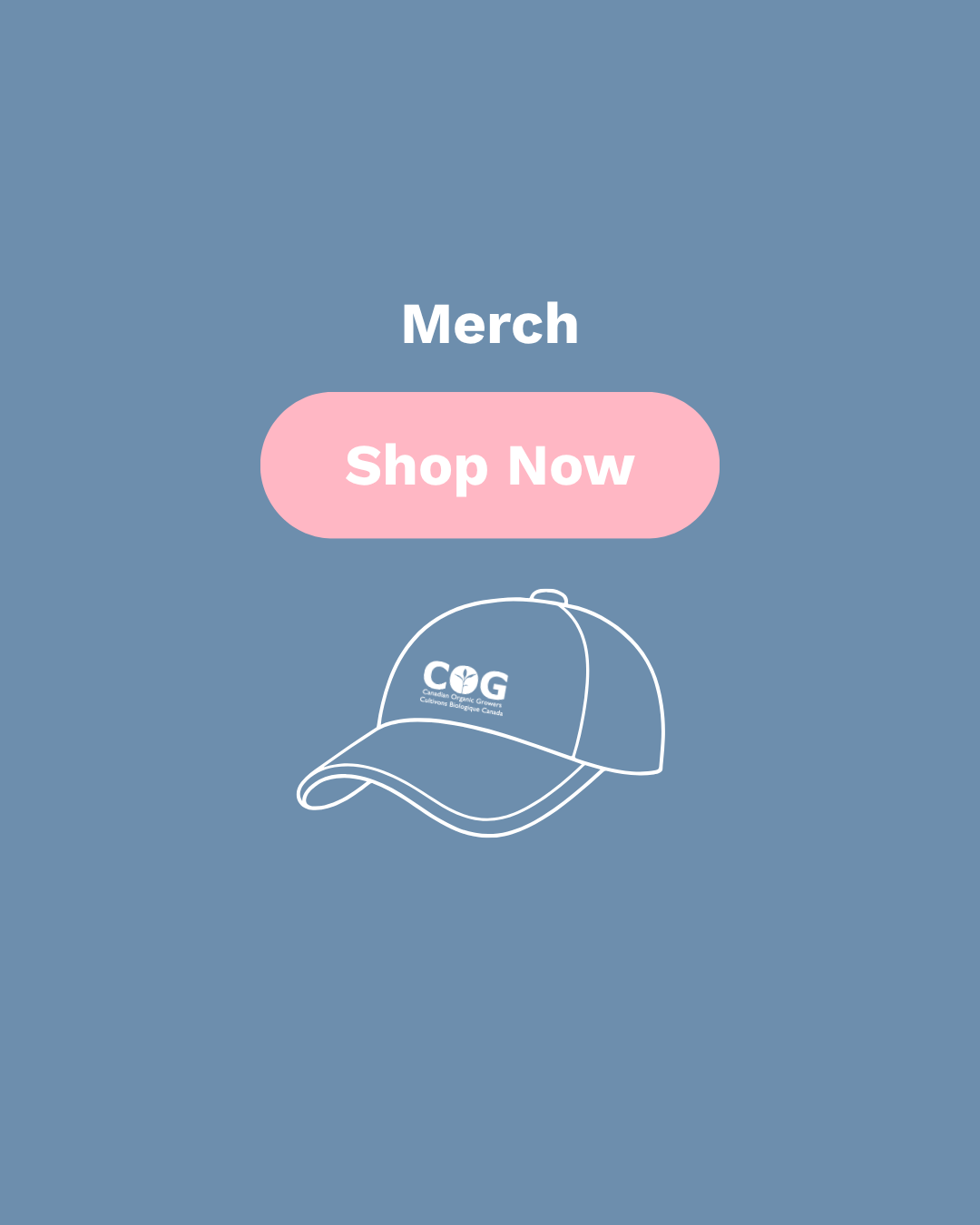 All Merchandise
