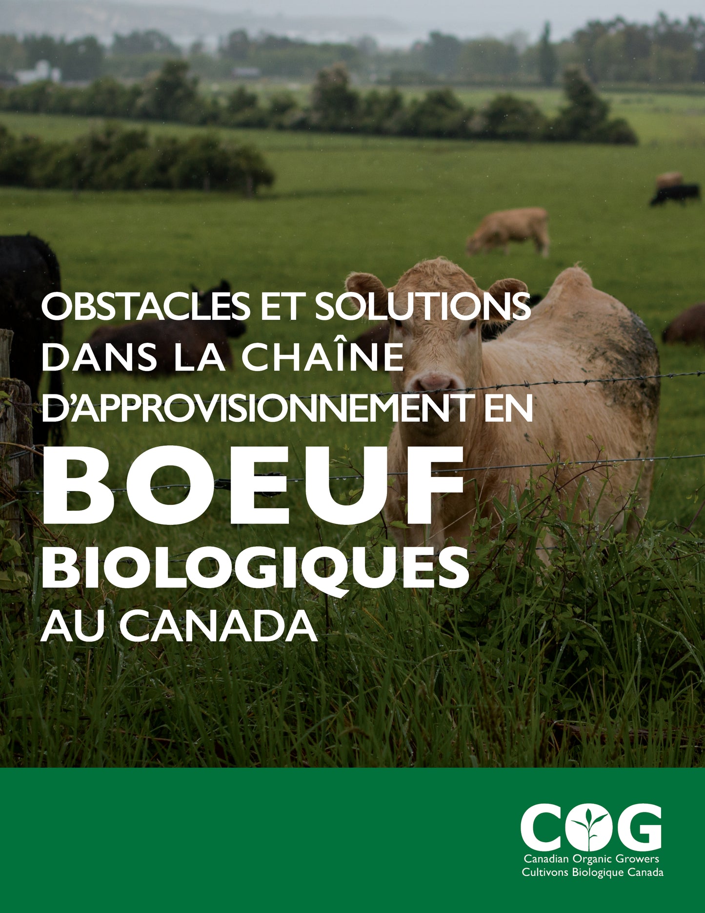 Barriers and Solutions in Canada’s Organic Beef Supply Chain / Obstacles et solutions dans la chaîne d'approvisionnement en bœuf biologique au Canada