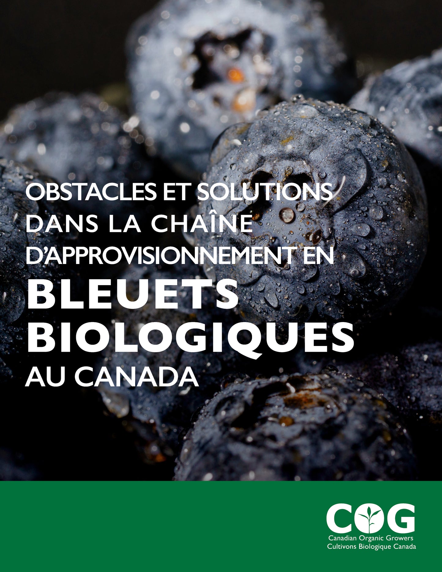 Barriers and Solutions in Canada’s Organic Blueberry Supply Chain / Obstacles et solutions dans la chaîne d'approvisionnement en bleuets biologique au Canada