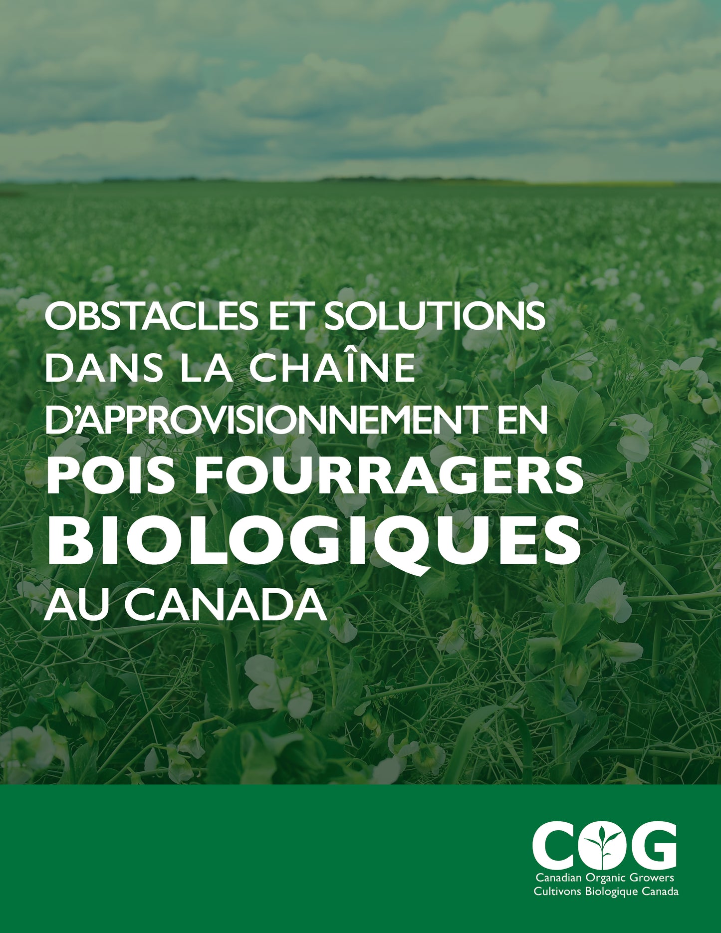Barriers and Solutions in Canada’s Organic Field Peas Supply Chain / Obstacles et solutions dans la chaîne d'approvisionnement en pois fourragers biologique au Canada