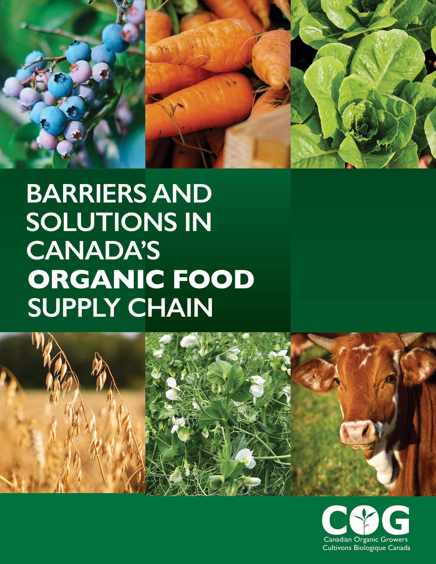 Barriers and Solutions in Canada’s Organic Food Supply Chain - Summary Report / Obstacles et solutions dans la chaîne d'approvisionnement en aliments biologique au Canada - Rapport de synthèse