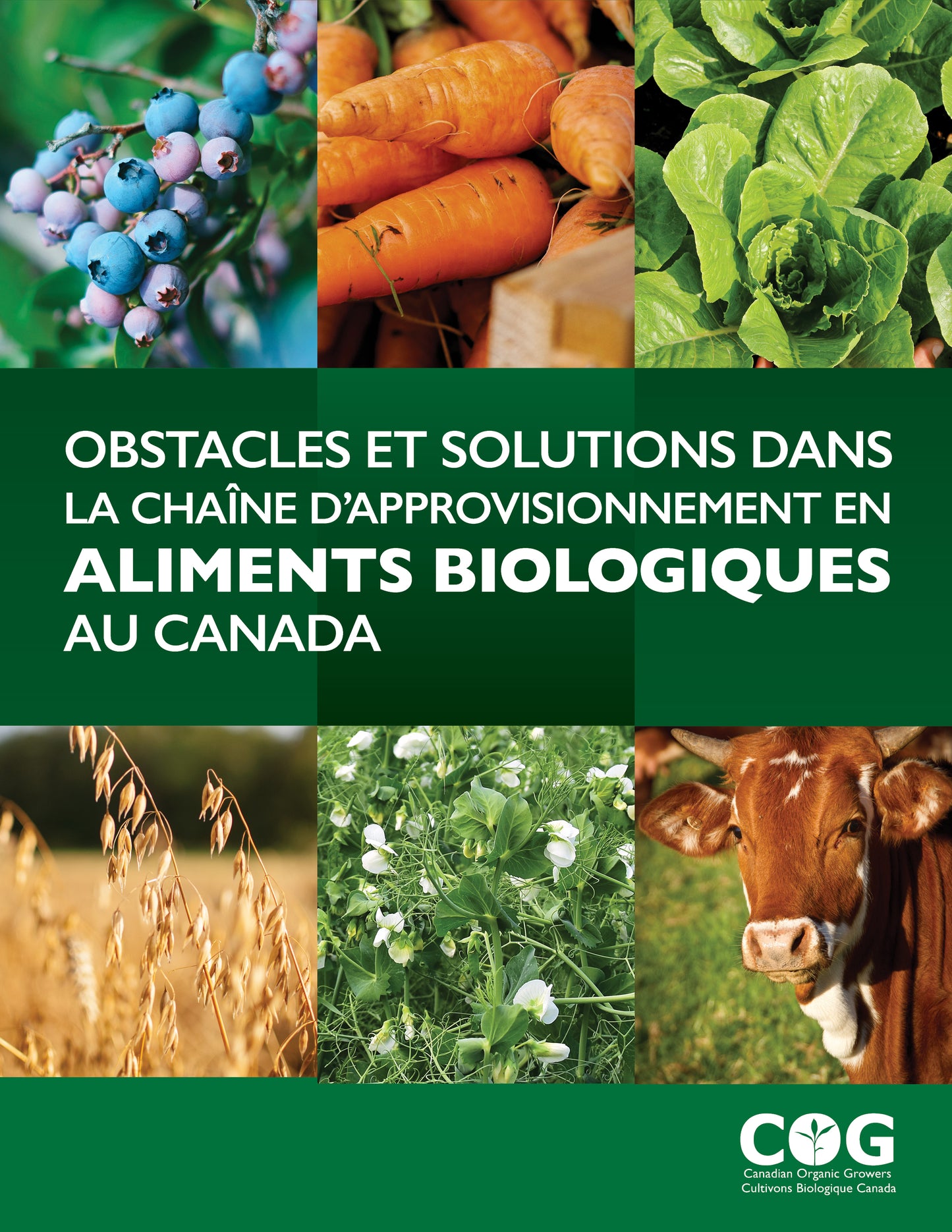 Barriers and Solutions in Canada’s Organic Food Supply Chain - Summary Report / Obstacles et solutions dans la chaîne d'approvisionnement en aliments biologique au Canada - Rapport de synthèse