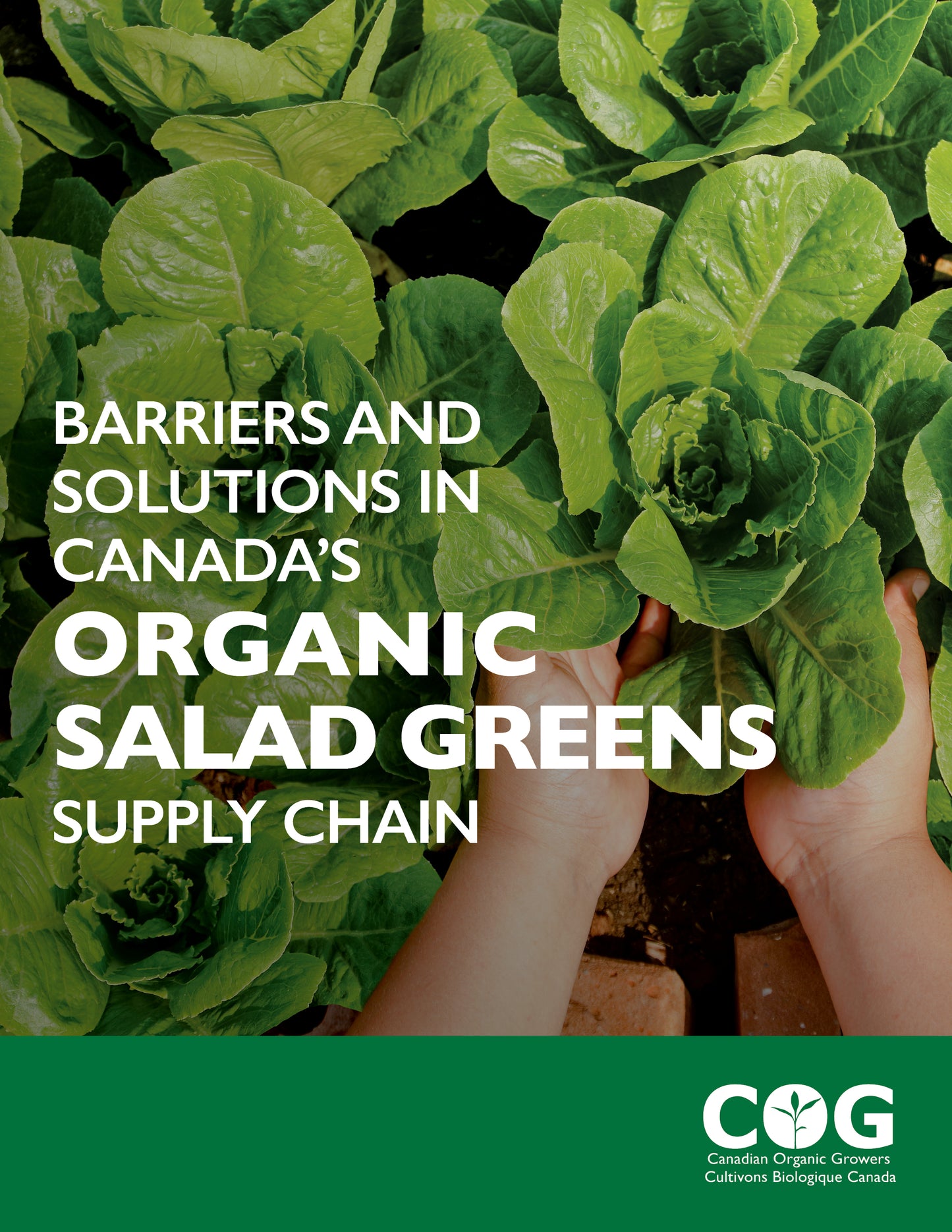 Barriers and Solutions in Canada’s Organic Salad Greens Supply Chain / Obstacles et solutions dans la chaîne d'approvisionnement en salades biologique au Canada