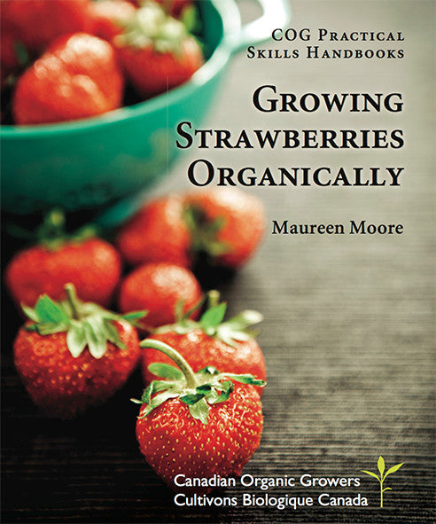 Growing Strawberries Organically