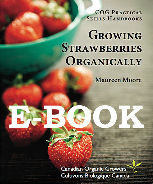 Growing Strawberries Organically (E-BOOK)